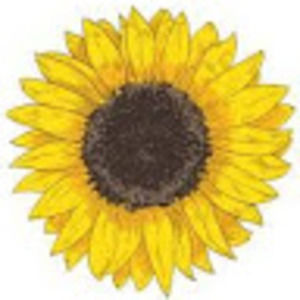 Meet your Posher, Kaitlyn stork